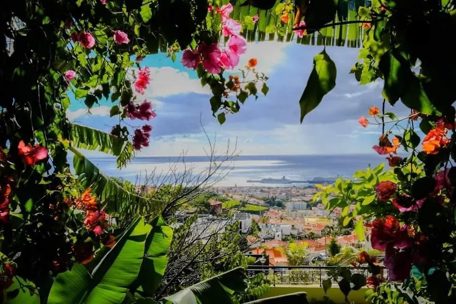 Granny'S House View Villa Funchal  Holiday home Funchal (Madeira)
